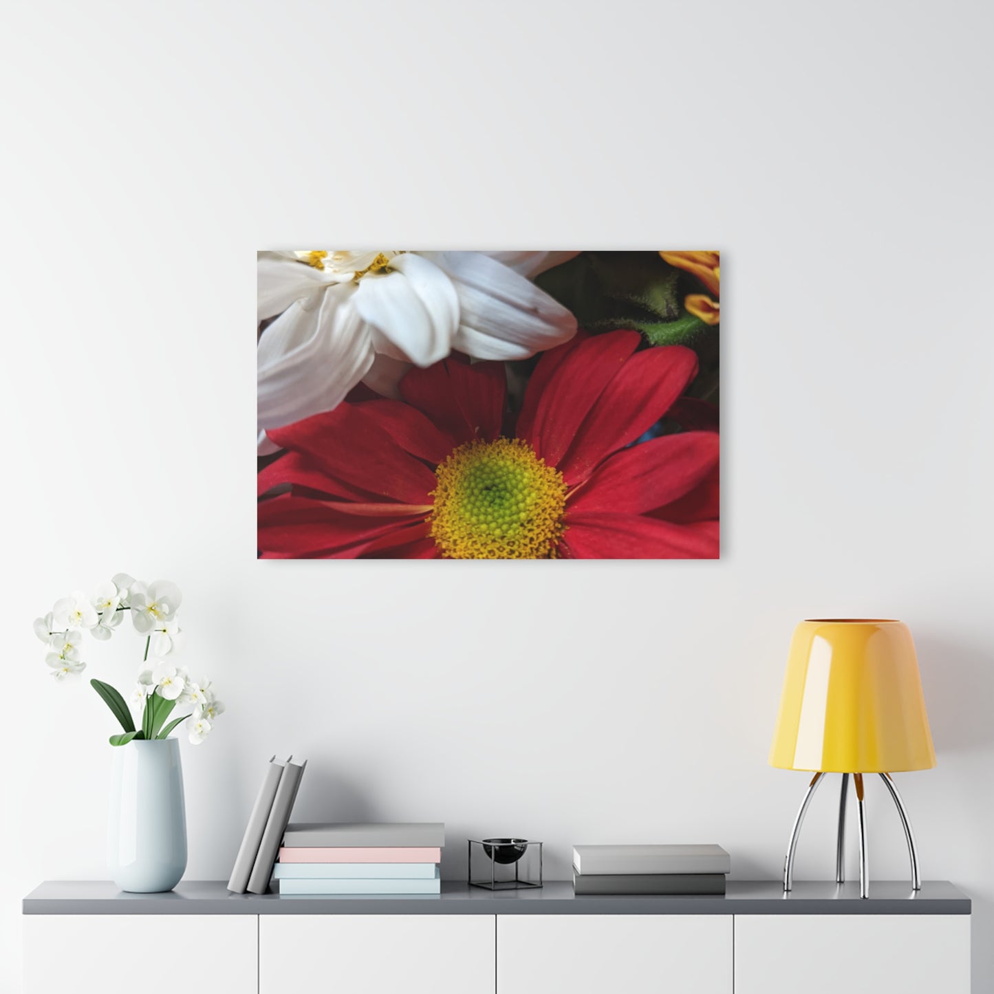 Daisys from Guatemala -  Acrylic Wall Art — Red & White Daisy Photo Print (French Cleat Hanging)