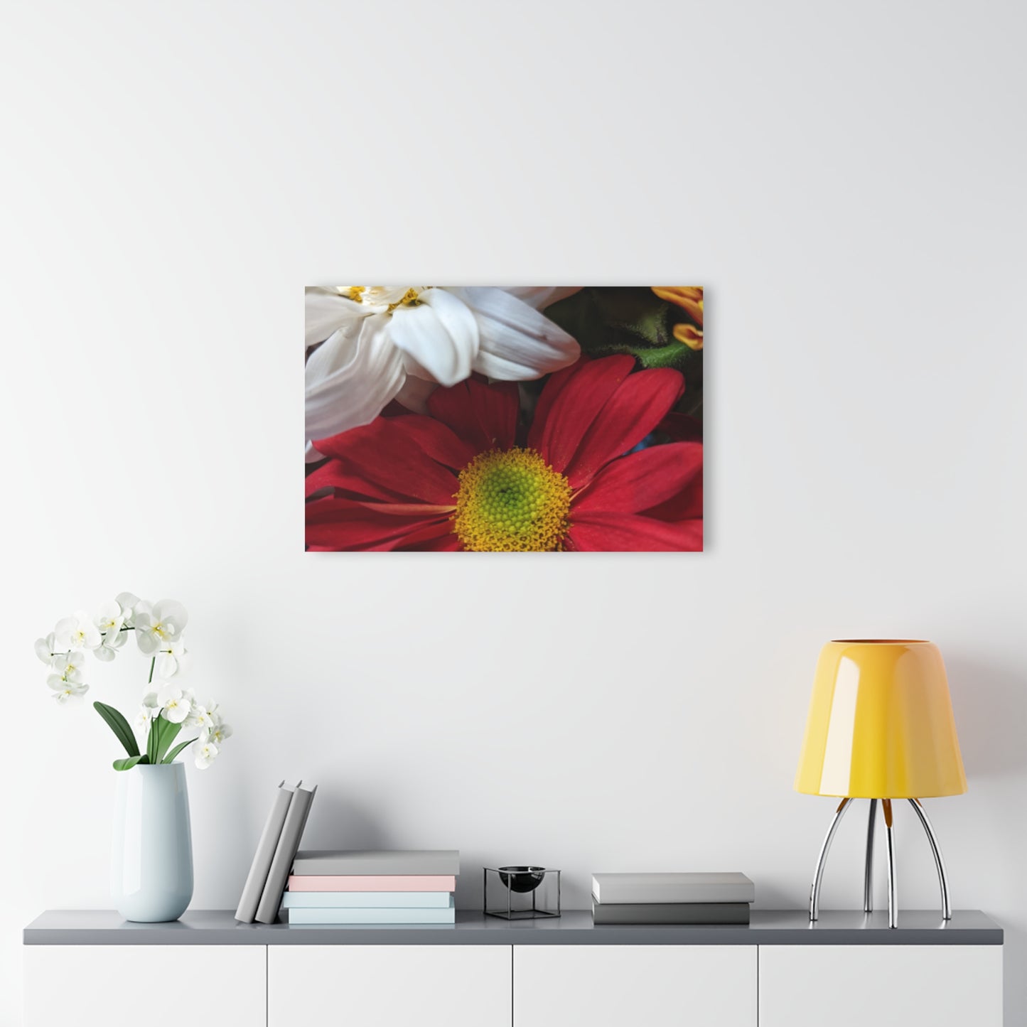 Daisys from Guatemala -  Acrylic Wall Art — Red & White Daisy Photo Print (French Cleat Hanging)