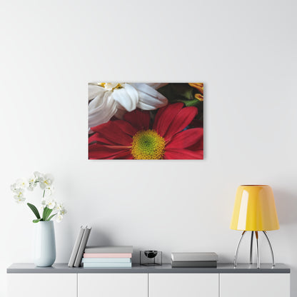 Daisys from Guatemala -  Acrylic Wall Art — Red & White Daisy Photo Print (French Cleat Hanging)