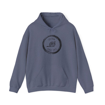 Live From Planet Earth Unisex Heavy Blend™ Hooded Sweatshirt