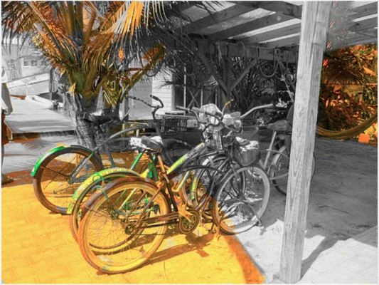 Bocas Bikes